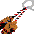 blueski solidaridade